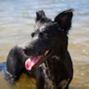 Meet your Posher, Isabel